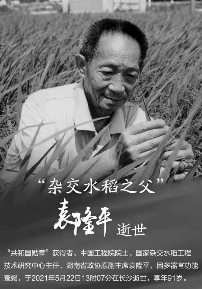 袁隆平-2